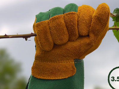 Leather gardening glove gripping a thorned bramble stem